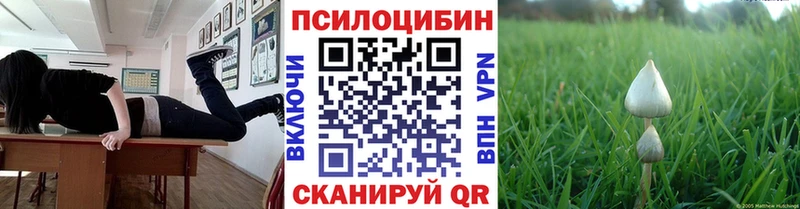 Купить закладки  Руза  Галлюциногенные грибы Psilocybine cubensis 